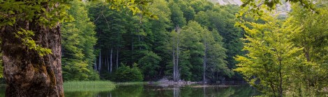 WEEKLY SPIRITUAL ENERGY-June 5, 2023 - June 11, 2023, by Lady Dyanna