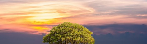 WEEKLY SPIRITUAL ENERGY-July 3, 2023 - July 9, 2023, by Lady Dyanna