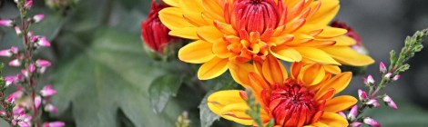 WEEKLY SPIRITUAL ENERGY- September 18, 2023 - September 24, 2023, by Lady Dyanna