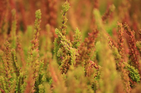 WEEKLY SPIRITUAL ENERGY- September 18, 2023 - September 24, 2023, by Lady Dyanna