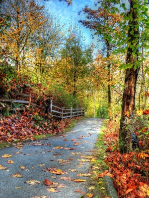 WEEKLY SPIRITUAL ENERGY- October 2, 2023 - October 8, 2023, by Lady Dyanna