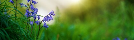 WEEKLY SPIRITUAL ENERGY- March 18, 2024 - March 24, 2024  by Lady Dyanna