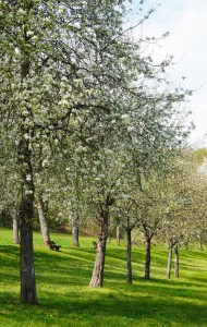 WEEKLY SPIRITUAL ENERGY- March 11, 2024  by Lady Dyanna