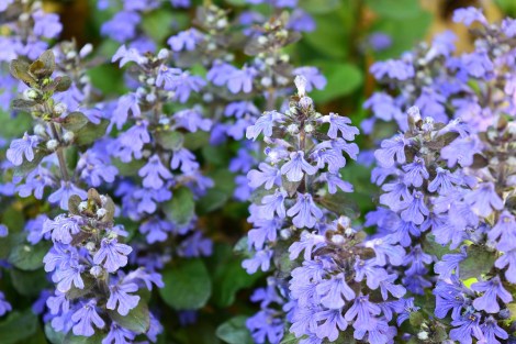 WEEKLY SPIRITUAL ENERGY- April 22, 2024 - April 28, 2024  by Lady Dyanna