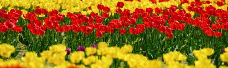 WEEKLY SPIRITUAL ENERGY- April 22, 2024 - April 28, 2024  by Lady Dyanna