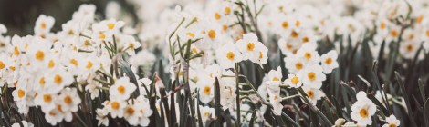 WEEKLY SPIRITUAL ENERGY- May 13 - May 19, 2024  by Lady Dyanna