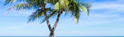 WEEKLY SPIRITUAL ENERGY- August 12 - August 18, 2024, by Lady Dyanna