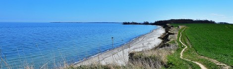 WEEKLY SPIRITUAL ENERGY- August 5 - August 11, 2024, by Lady Dyanna