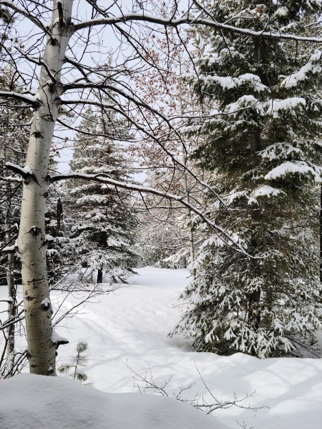 WEEKLY SPIRITUAL ENERGY- December 30, 2024 - January 5, 2025, by Lady Dyanna