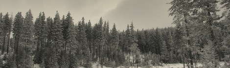 WEEKLY SPIRITUAL ENERGY- February 3, 2025 - February 9, 2025, by Lady Dyanna