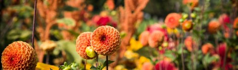 WEEKLY SPIRITUAL ENERGY- May19, 2025 – May 25, 2025, by Lady Dyanna