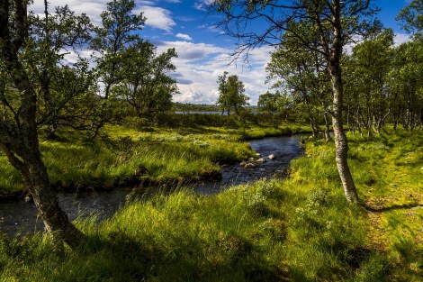 WEEKLY SPIRITUAL ENERGY- May 26, 2025 – June 1, 2025, by Lady Dyanna