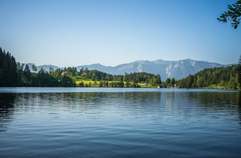 WEEKLY SPIRITUAL ENERGY- June 16, 2025 – June22, 2025, by Lady Dyanna