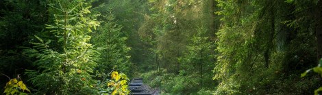 WEEKLY SPIRITUAL ENERGY- August 18, 2025 – August 24, 2025, by Lady Dyanna