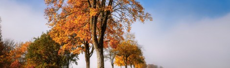 WEEKLY SPIRITUAL ENERGY-October 20, 2025 – October 26, 2025, by Lady Dyanna