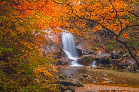 Relationship Awareness October 2025, by Lady Dyanna