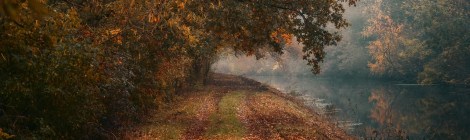 WEEKLY SPIRITUAL ENERGY-October 6, 2025 – October 12, 2025, by Lady Dyanna