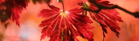 Relationship Awareness October 2025, by Lady Dyanna