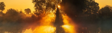 WEEKLY SPIRITUAL ENERGY-October 20, 2025 – October 26, 2025, by Lady Dyanna