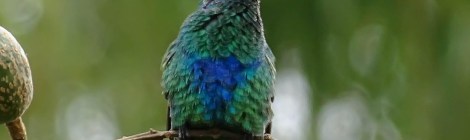 WEEKLY SPIRITUAL ENERGY-November 24, 2025 – November 30, 2025, by Lady Dyanna