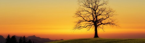 WEEKLY SPIRITUAL ENERGY-November 3, 2025 – November 9, 2025, by Lady Dyanna