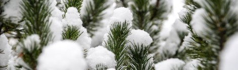 Relationship Awareness December 2025, by Lady Dyanna