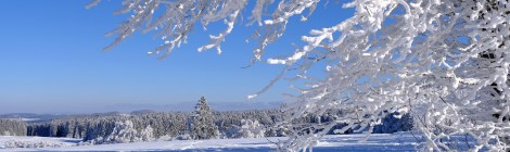 WEEKLY SPIRITUAL ENERGY-December 22, 2025 – December 28, 2025, by Lady Dyanna