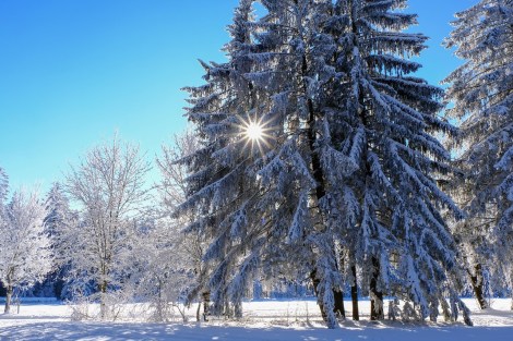 Relationship Awareness January 2026, by Lady Dyanna