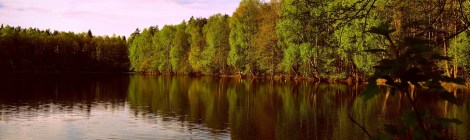 WEEKLY SPIRITUAL ENERGY-February 23, 2026 – March 01, 2026, by Lady Dyanna