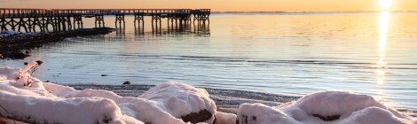 WEEKLY SPIRITUAL ENERGY- March 02, 2026 -March 08, 2026, by Lady Dyanna