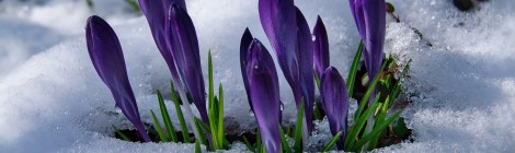 WEEKLY SPIRITUAL ENERGY- March 09, 2026 -March 15, 2026, by Lady Dyanna