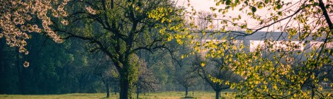 WEEKLY SPIRITUAL ENERGY- April 13, 2026 -April 19, 2026, by Lady Dyanna