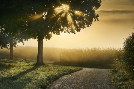 Relationship Awareness June 2026, by Lady Dyanna