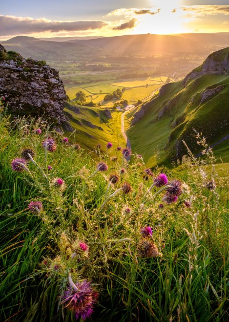 WEEKLY SPIRITUAL ENERGY-June 8, 2026 -Jun 14, 2026, by Lady Dyanna