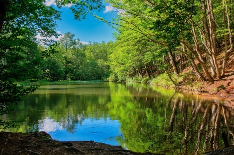 WEEKLY SPIRITUAL ENERGY-July 6, 2026 -July 12, 2026, by Lady Dyanna