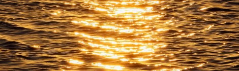 WEEKLY SPIRITUAL ENERGY-July 6, 2026 -July 12, 2026, by Lady Dyanna