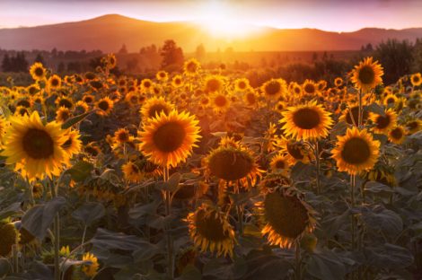 Relationship Awareness August 2026, by Lady Dyanna