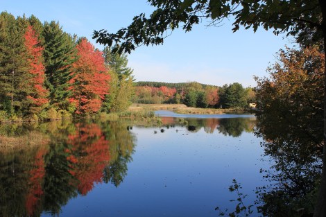 WEEKLY SPIRITUAL ENERGY-September 7, 2026 -September 13, 2026, by Lady Dyanna