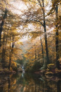 WEEKLY SPIRITUAL ENERGY-September 28, 2026 -October 4, 2026, by Lady Dyanna