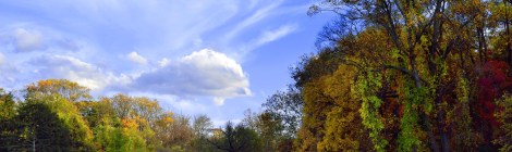 Relationship Awareness October 2026, by Lady Dyanna