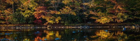 WEEKLY SPIRITUAL ENERGY-October 26, 2026 -November 1, 2026, by Lady Dyanna