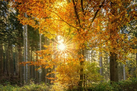Relationship Awareness October 2026, by Lady Dyanna