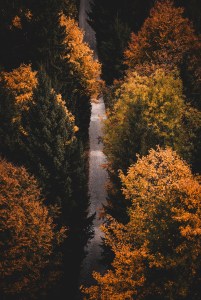 WEEKLY SPIRITUAL ENERGY-October 19, 2026 -October 25, 2026, by Lady Dyanna